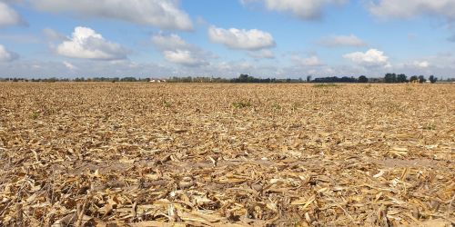 Le Calvados placé en vigilance sécheresse