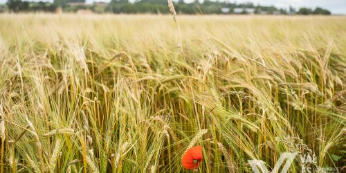 Avis d&rsquo;enquête publique unique