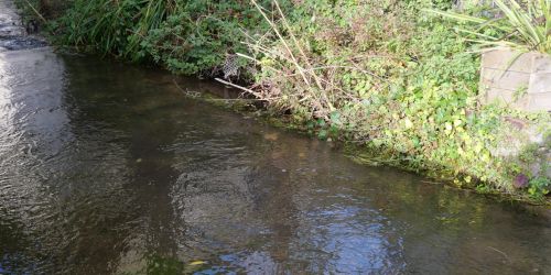 Sécheresse : l&rsquo;eau sous surveillance